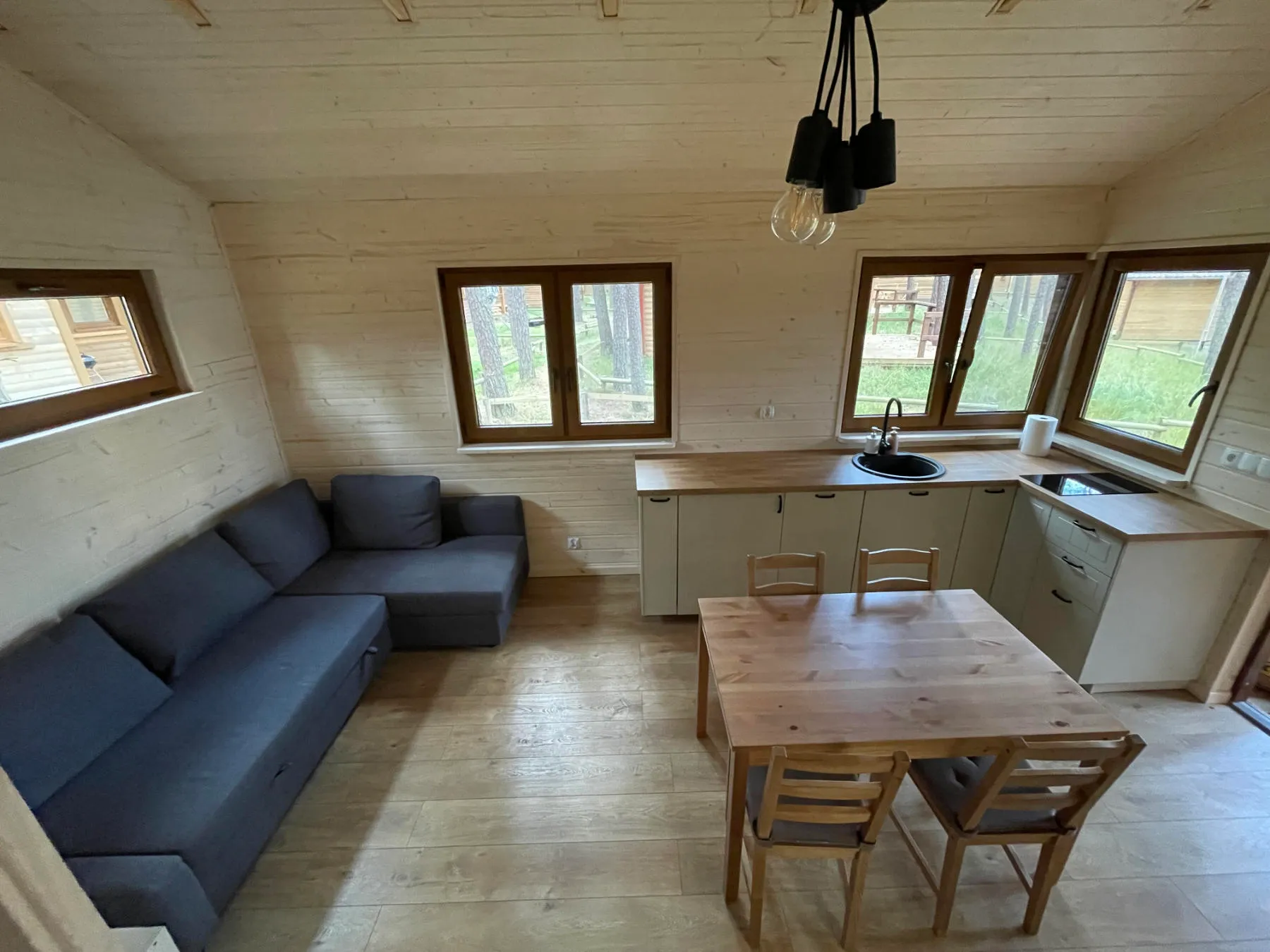 Salon z aneksem kuchennym w domku Forest